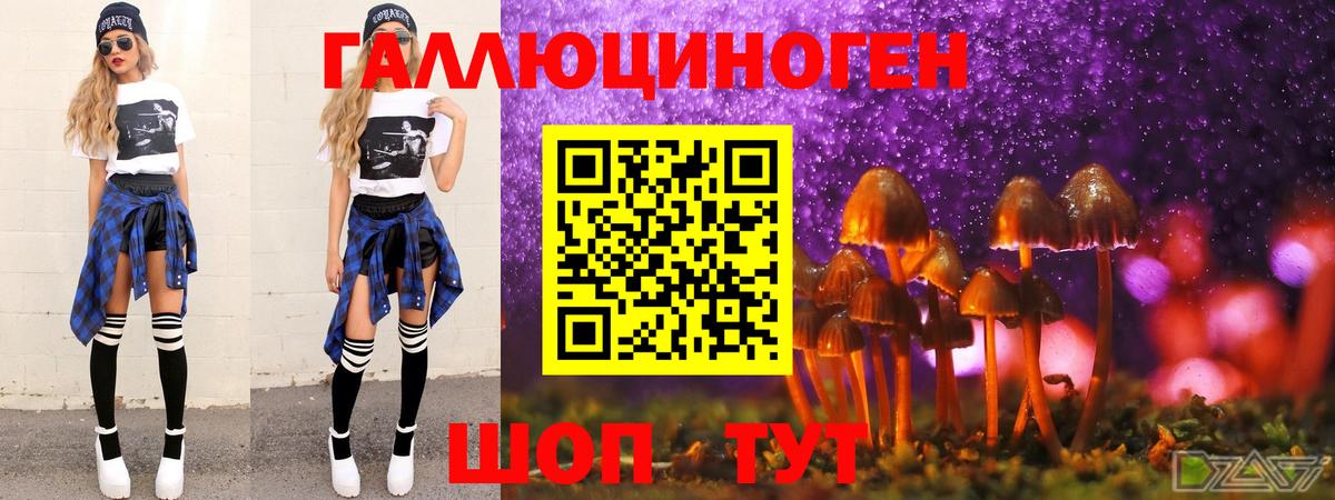 Новозыбков  Галлюциногенные грибы прущие грибы  Вход с VPN 