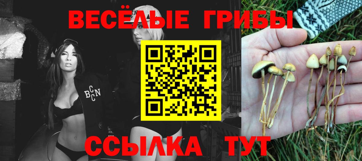 Галлюциногенные грибы мицелий Новозыбков